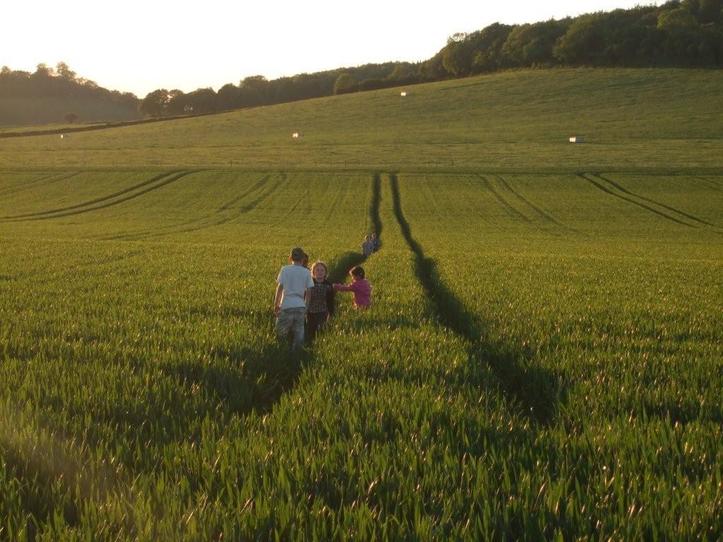 Walking through a field of Wheat
