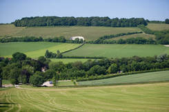 The South Downs, Hampshire
