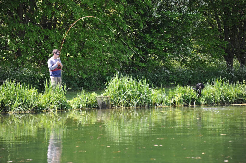 An angler playing a fish