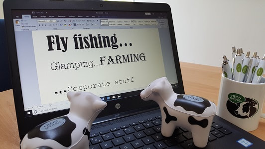 Toy cows reading a computer screen