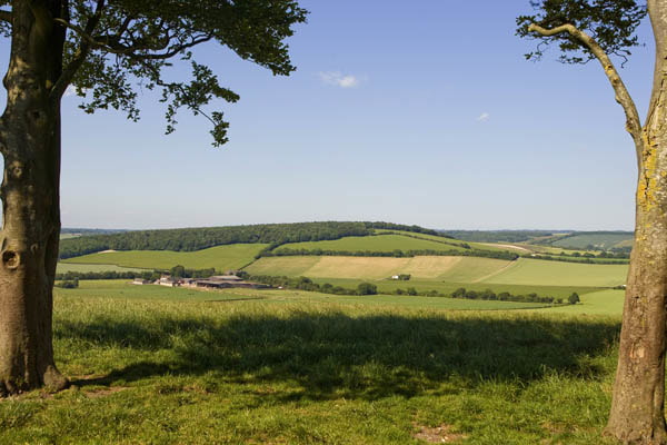 Walker's view from Old Winchester Hill