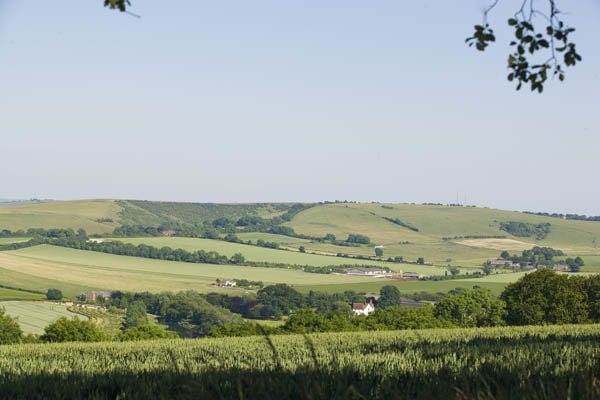 Hampshire View